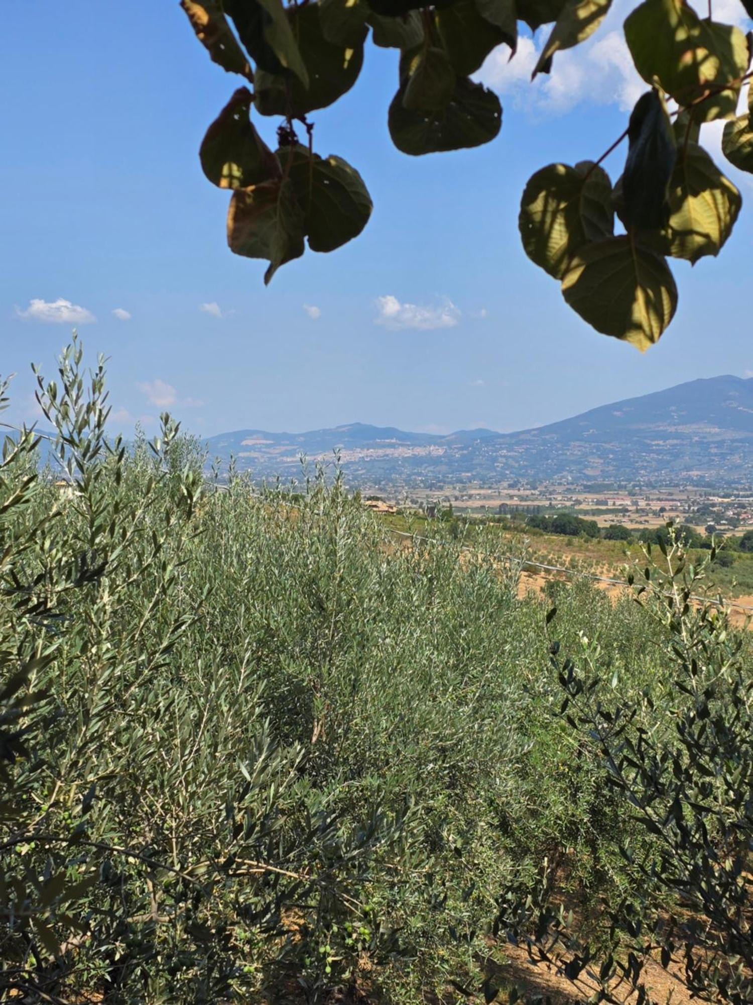 Dimora Kalipe Villa Limigiano Bagian luar foto
