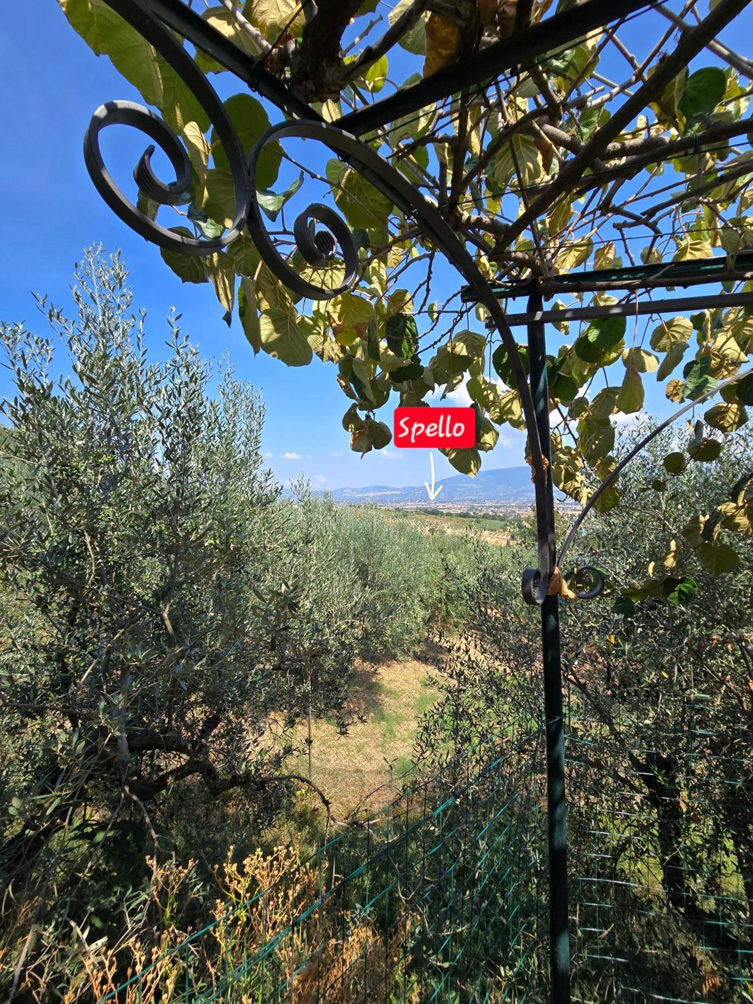 Dimora Kalipe Villa Limigiano Bagian luar foto