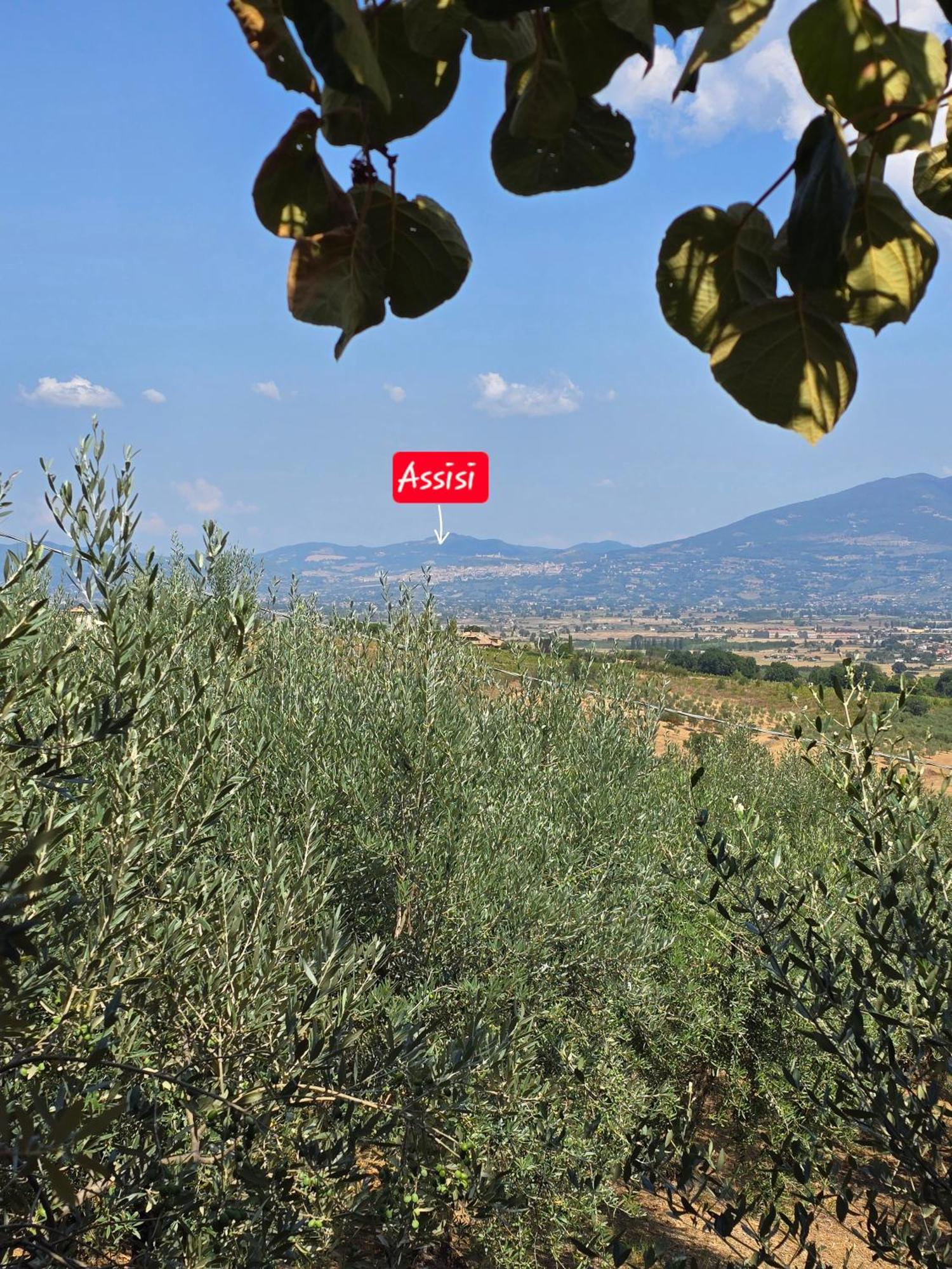 Dimora Kalipe Villa Limigiano Bagian luar foto